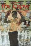 Crow: Wild Justice comic books